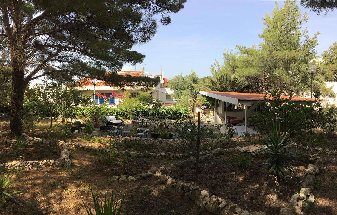 Le Viole Otel San Domino